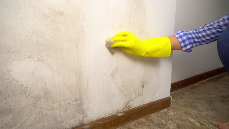 Mold Odor Removal Services in Holiday City Berkeley, NJ